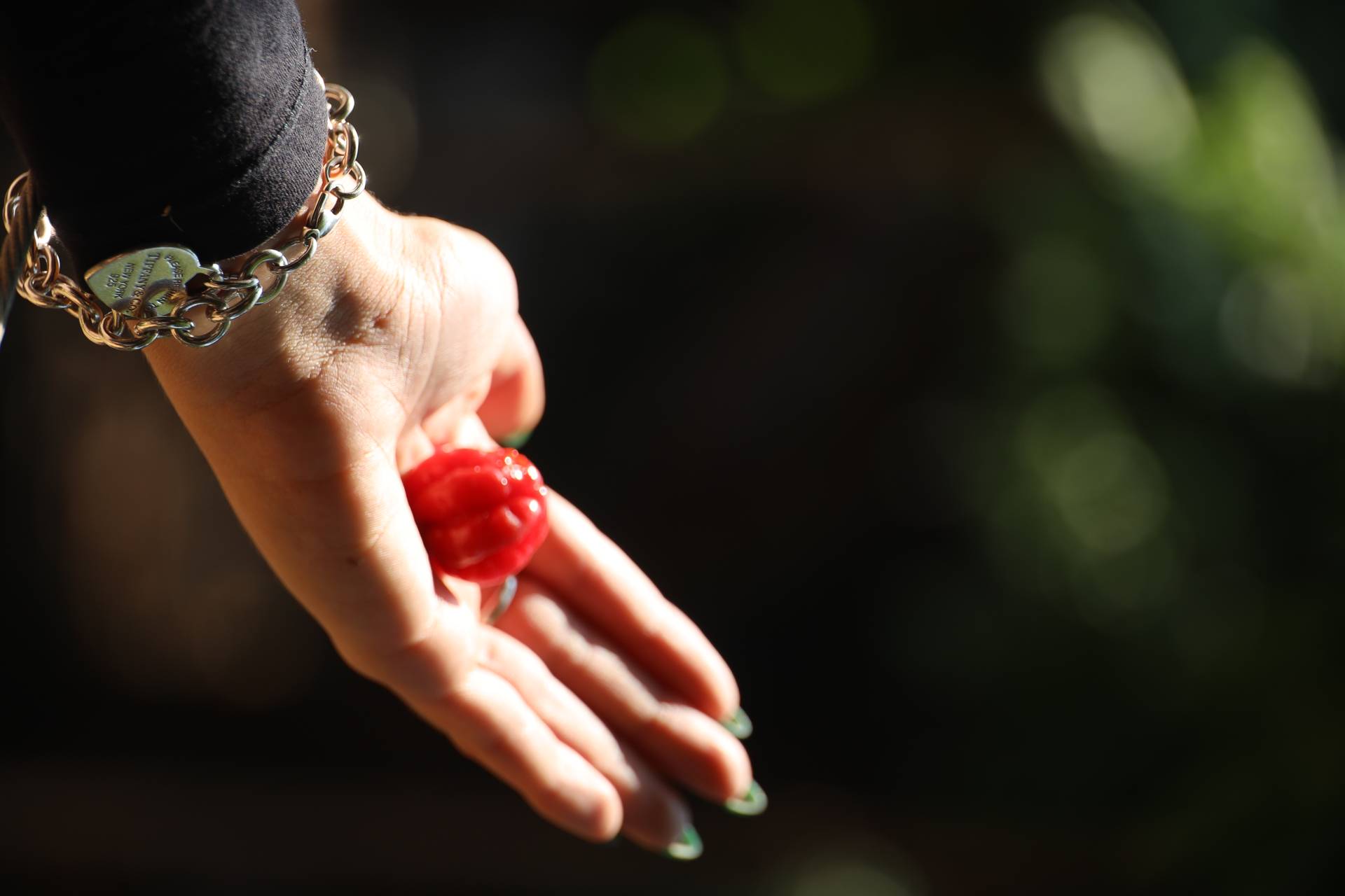 נוף מקיבוץ מעגן מיכאל