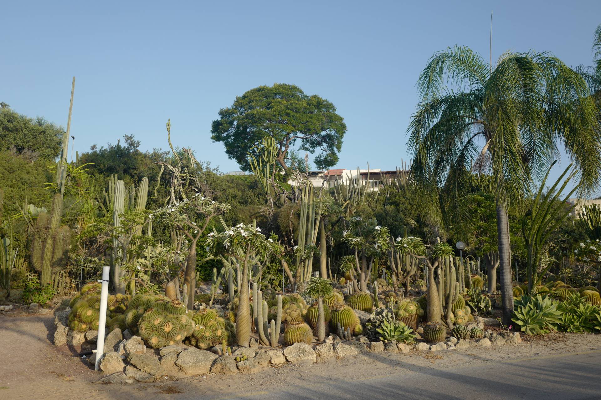 תמונה 3 מקיבוץ מעגן מיכאל