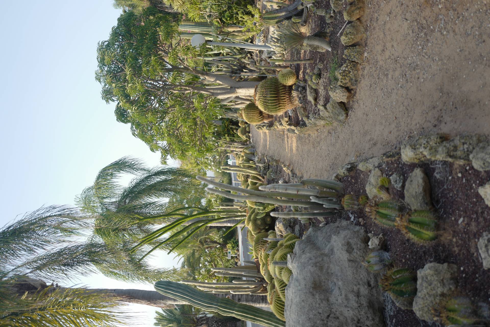 תמונה 4 מקיבוץ מעגן מיכאל