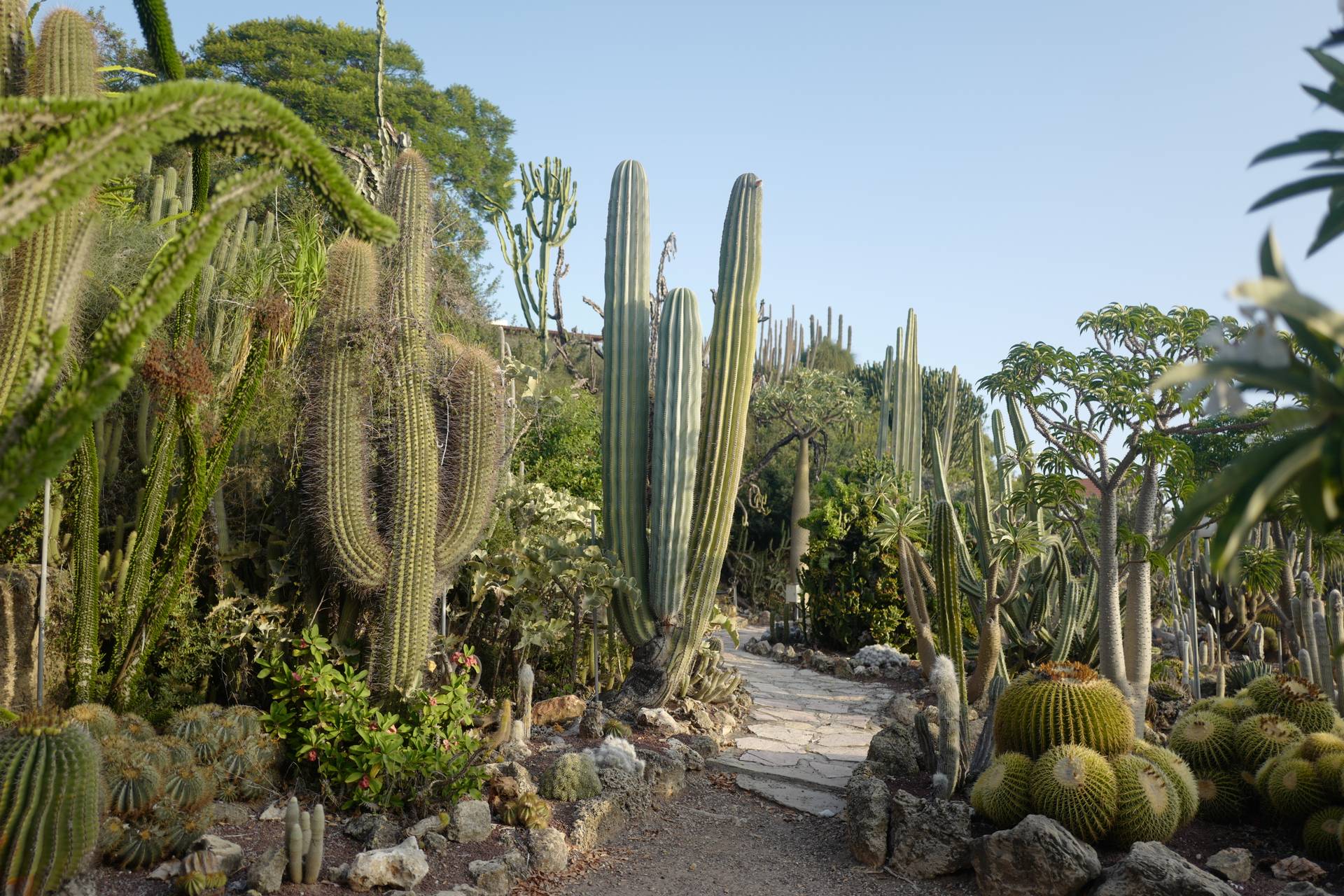 מעגן מיכאל - נוף טבעי